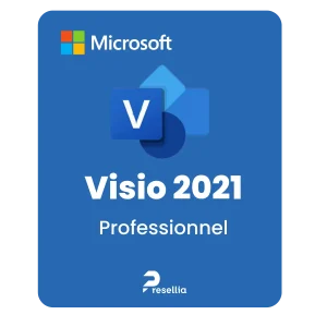 Visio 2021 Professionnel (Perpétuel)
