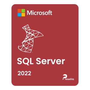 Microsoft SQL Server 2022 Enterprise — Licence à vie